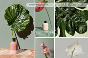 265 Cosmetic Packaging Stock Photos, a Beauty & Fashion Photo by Tale.Haus (Thumbnail 13 of 19)