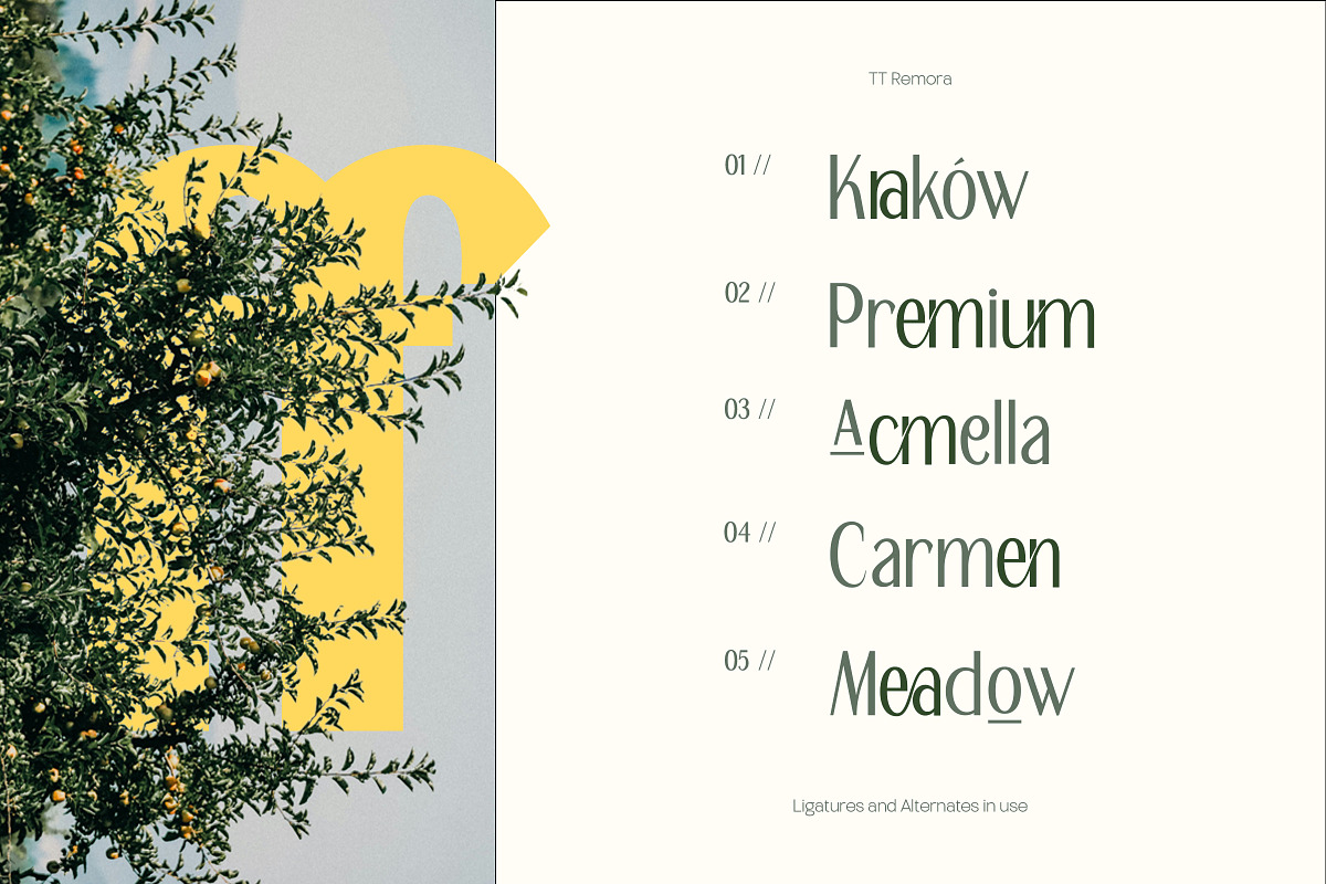 TT Remora – Modern Sans Display, a Sans Serif Font by truetype (Photo 2 of 15)
