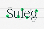 Krista's - Display Serif, a Serif Font by Dora Typefoundry (Thumbnail 5 of 23)