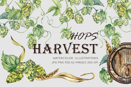 Harvest Hops watercolor clipart, an Illustration by Kate Lanbina