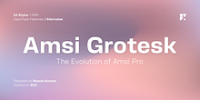 Amsi Grotesk