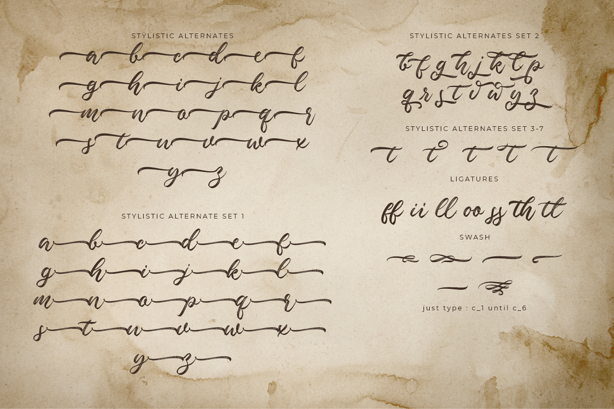 Valleita Script, a Script Font by Colllab Studio (Photo 12 of 19)