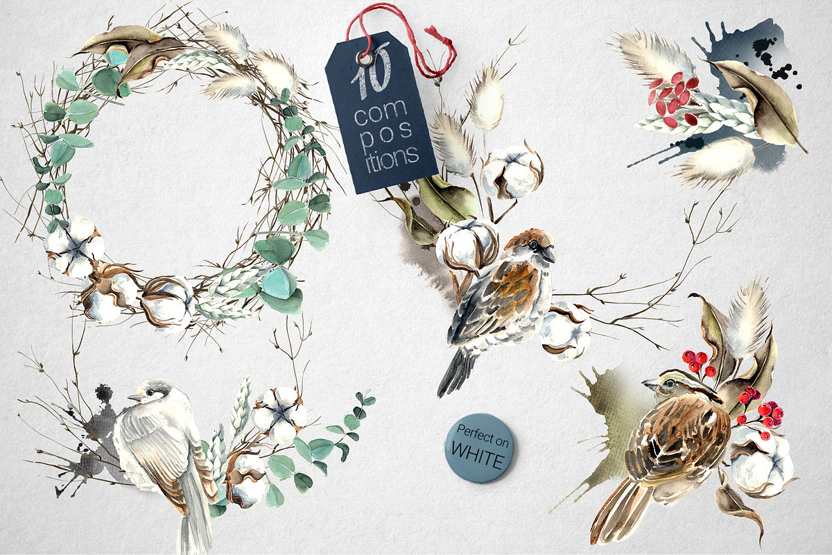 Birds and  Cotton Watercolor Set, an Illustration by WBS Design (Photo 3 of 9)