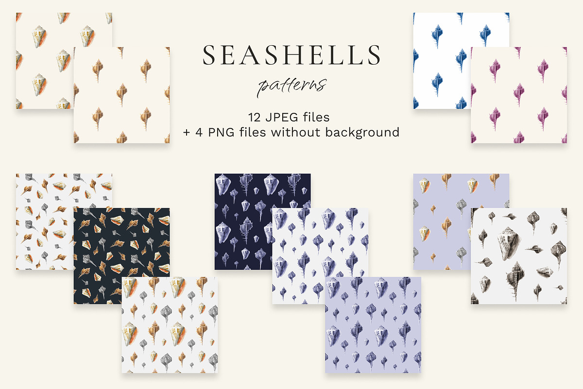 Seashells watercolor illustrations, an Illustration by JulShuman (Photo 5 of 8)