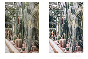 Moody Lifestyle Lightroom presets, an Action Add-On by BeArt-Presets (Thumbnail 14 of 18)