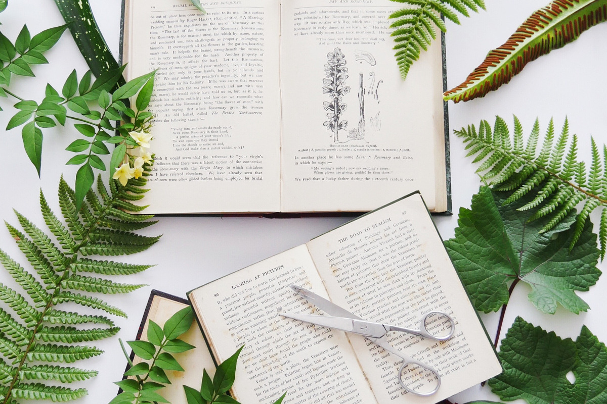 Garden Finds Flatlay Photo Bundle, a Photo by The Floral Healer (Photo 5 of 8)