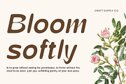 CS Carline Drawn, a Sans Serif Font by Craft Supply Co. (Thumbnail 6 of 8)
