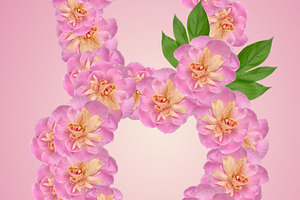 The number eight is made from pink peony buds with green leaves, a Holiday Photo by ndanko