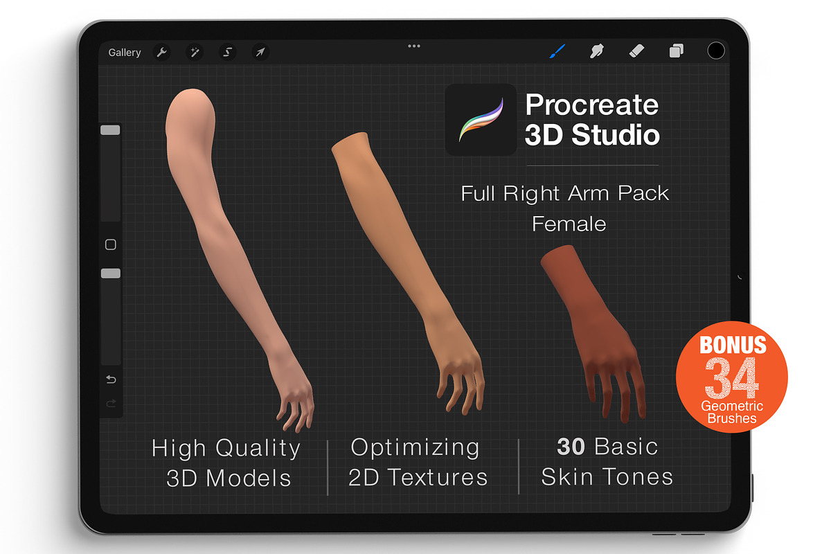 Procreate 3d Model -Right Arm Female, a Characters & Person 3D Model by Procreate3dStudio (Photo 1 of 5)