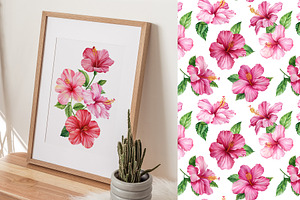 Watercolor Tropical Hibiscus Flowers