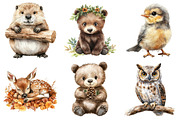 Forest Animals Watercolor Clipart, an Illustration by Daily.Designs (Thumbnail 3 of 5)