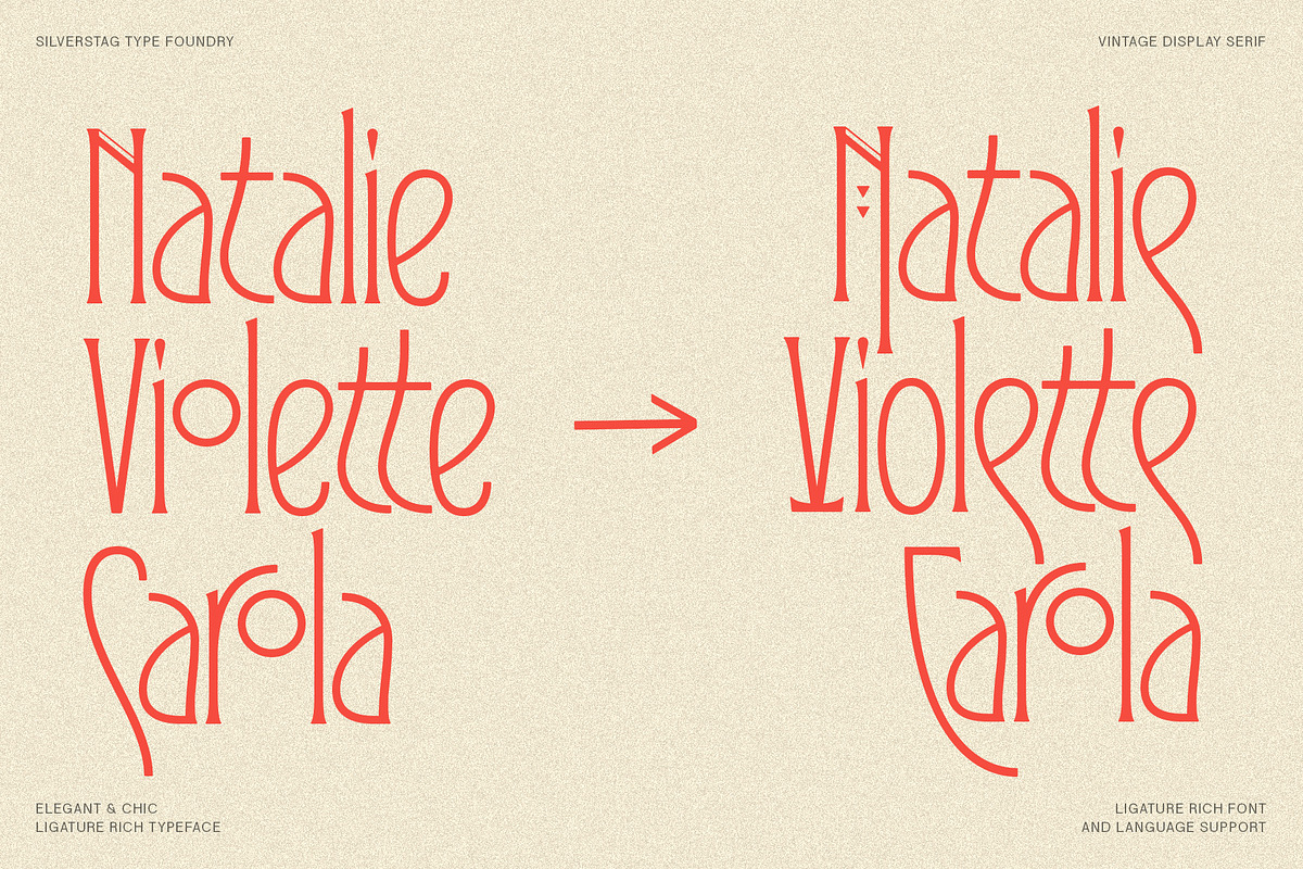 Reina Sofia - Vintage Display Serif, a Serif Font by SilverStag Type Foundry (Photo 9 of 30)