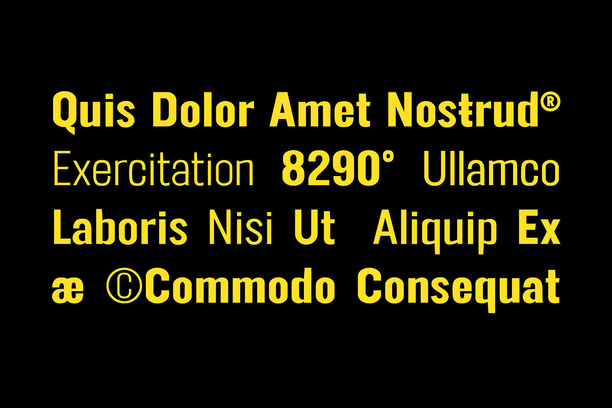FT Neue Buddy - 5 Styles Sans Serif, a Sans Serif Font by fuzztype (Photo 7 of 15)