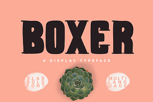 Boxer Typeface