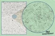 Distressed Halftone Textures Pack, a Texture Graphic by Shapeshift (Thumbnail 2 of 4)