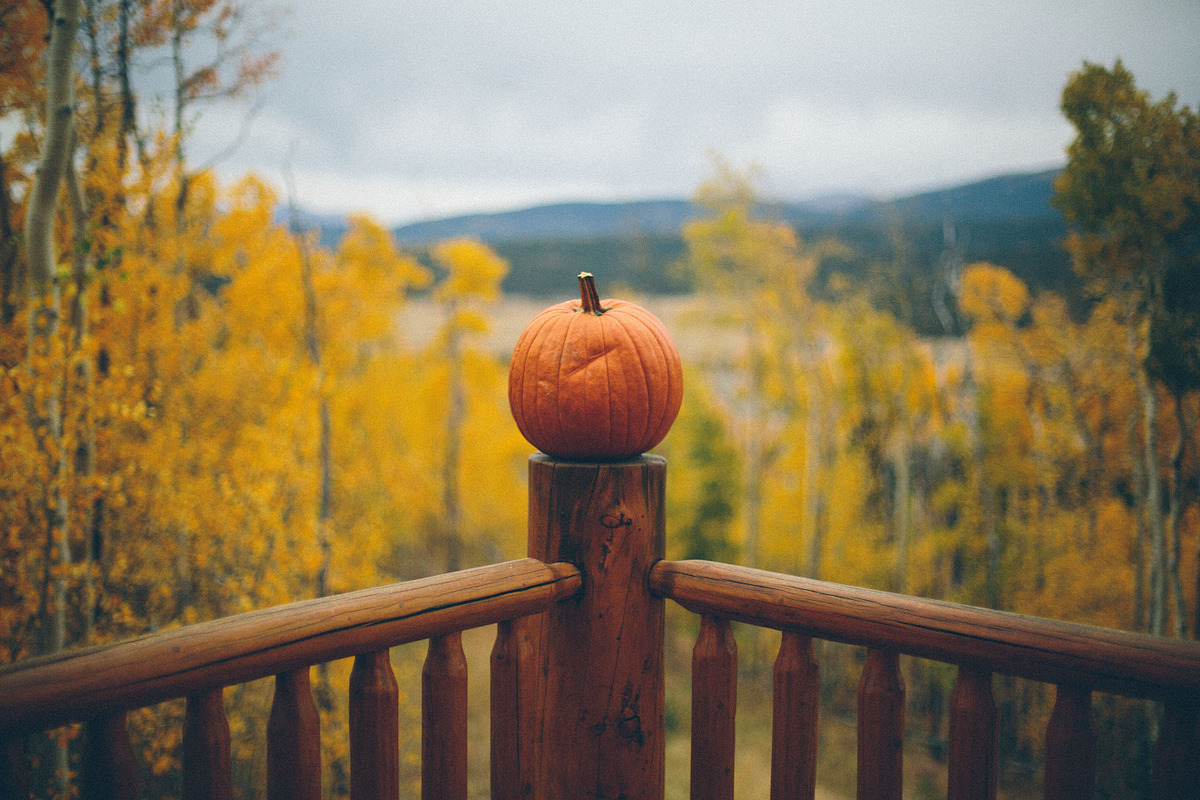 autumnal bliss, a Photo by The Homestead Collective  (Photo 2 of 3)