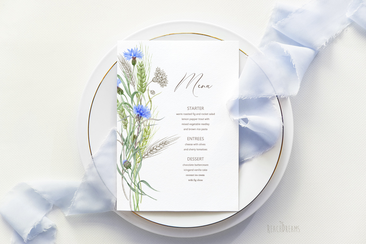 Knapweed and wildflowers collection, an Illustration by ReachDreams (Photo 12 of 12)
