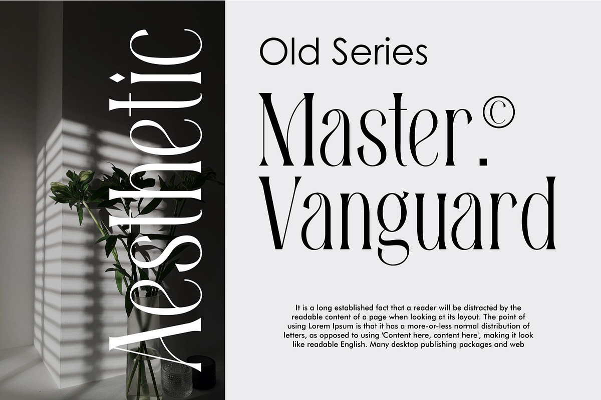 Bilky Maliek Beautifull Serif Font, a Serif Font by WhymoreArt (Photo 4 of 10)