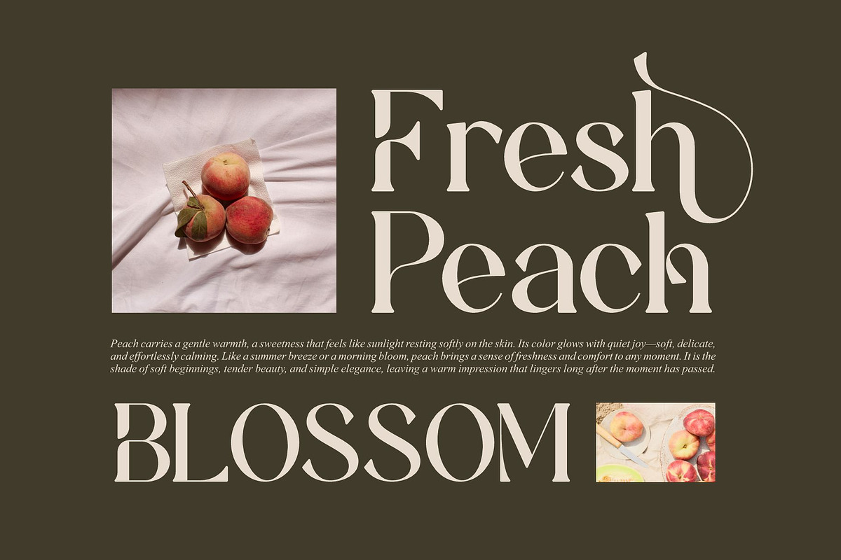 Amotha || Modern Classy Serif Font, a Serif Font by Ermedia Studio (Photo 5 of 10)