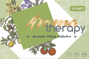 Aromatic plants color set Vol. 2