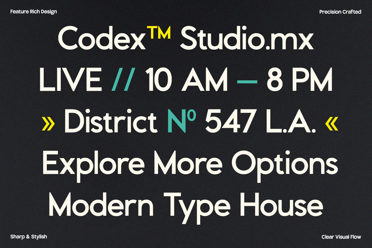 GC Codex – A Neo-Sans with Clarity, a Sans Serif Font by Glyphonic (Photo 5 of 15)