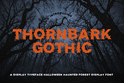 Thornbark Gothic Haunted Forest Disp, a Blackletter Font by AN Productions (Thumbnail 1 of 4)