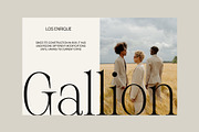 Risley - Classic Editorial Font, a Serif Font by Craft Supply Co. (Thumbnail 5 of 8)