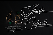 Marseliyon Elegant Signature Script, a Script Font by gracetype_studio (Thumbnail 4 of 12)