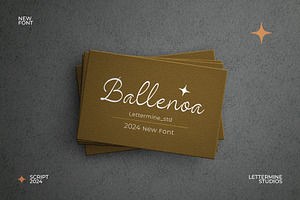 Ballenoa - Script Handwritten