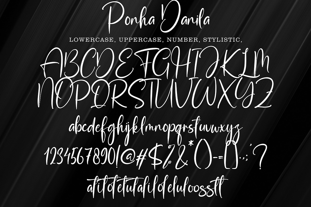 Ponha Danila, a Script Font by pineungtype (Photo 9 of 9)