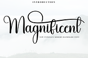 Magnificent, a Handwritten Font by FreshTypeINK (Thumbnail 1 of 8)
