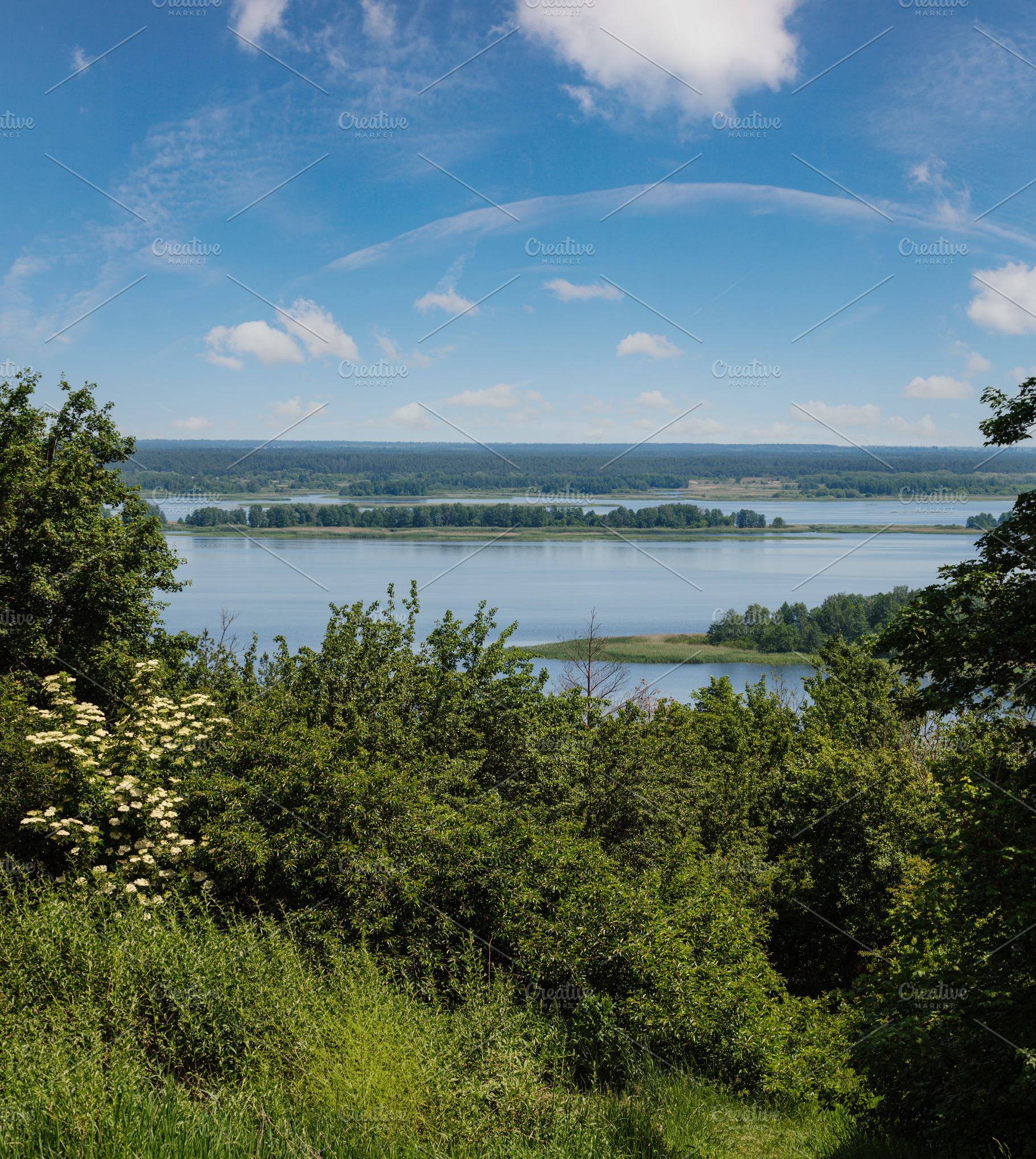 Dnipro river blossoming shores summer landscape, Kaniv water Res, a Nature Photo by YuriyB