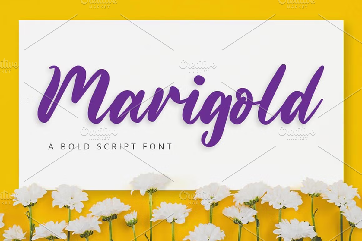 Handwritten Fonts Bundle, a Font by ThePhoton (Photo 20 of 29)