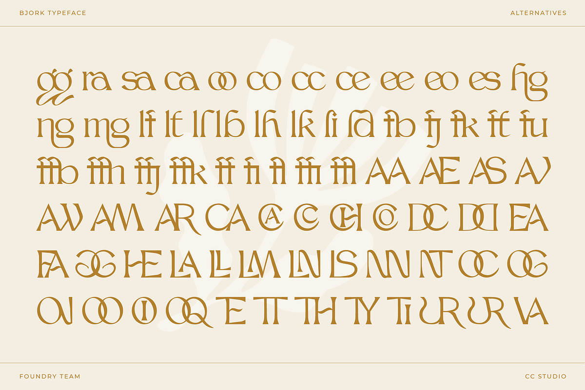Bjork Serif, a Serif Font by CCS-Type.com (Photo 30 of 30)