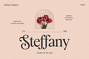 Bethany Elingston, a Serif Font by Attract Studio (Thumbnail 11 of 17)