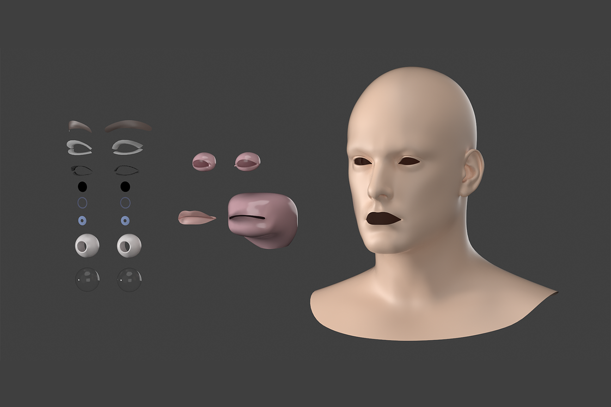 Natural Male Head 01 Generic Mesh, a Characters & Person 3D Model by VK Studio (Photo 13 of 29)