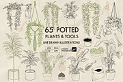 Potted Plants Line Art + Procreate, an Object Illustration by Skliarova (Thumbnail 1 of 4)