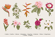 28 Exotic flowers., a Decorative Illustration by olga.korneeva (Thumbnail 2 of 5)