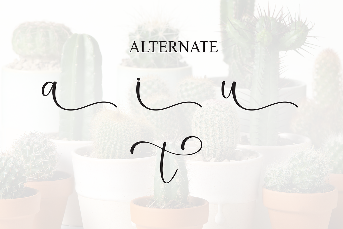 Cactus | Script Font, a Handwritten Font by Scratchones (Photo 8 of 9)