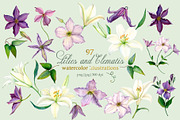 Lilies & Clematis Illustrations, an Illustration by SunnJaneArt (Thumbnail 1 of 13)