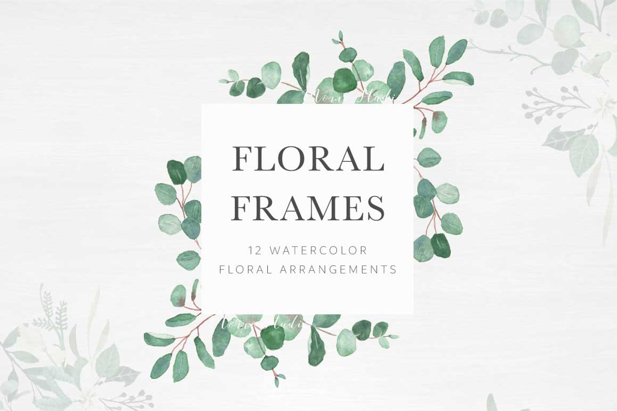 Modern Botanicals Florals & Leaves, an Illustration by Momo Studio (Photo 2 of 15)