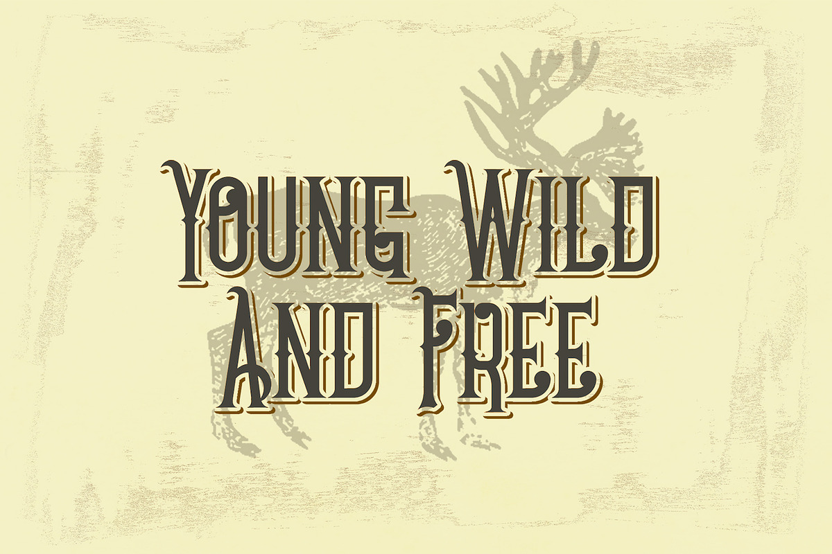 Chivel Mind - Vintage Font preview 5