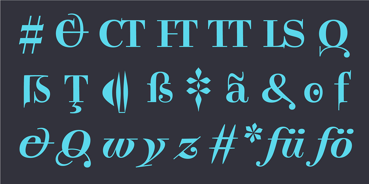 Legit Didone, a Serif Font by Finaltype (Photo 3 of 13)