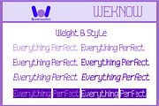 Everything Perfect font, a Serif Font by weknow (Thumbnail 7 of 8)