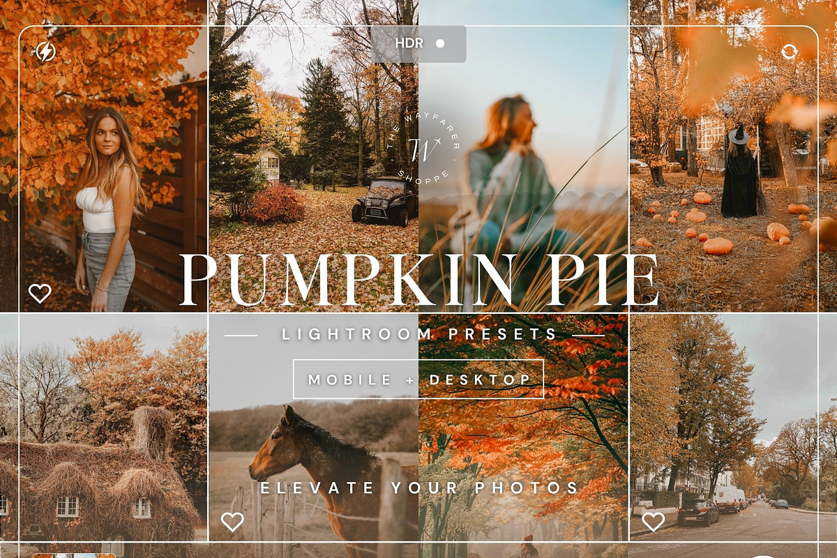 15 Pumpkin Lightroom Presets, a Preset Add-On by TheWayfarerShoppe (Photo 1 of 8)