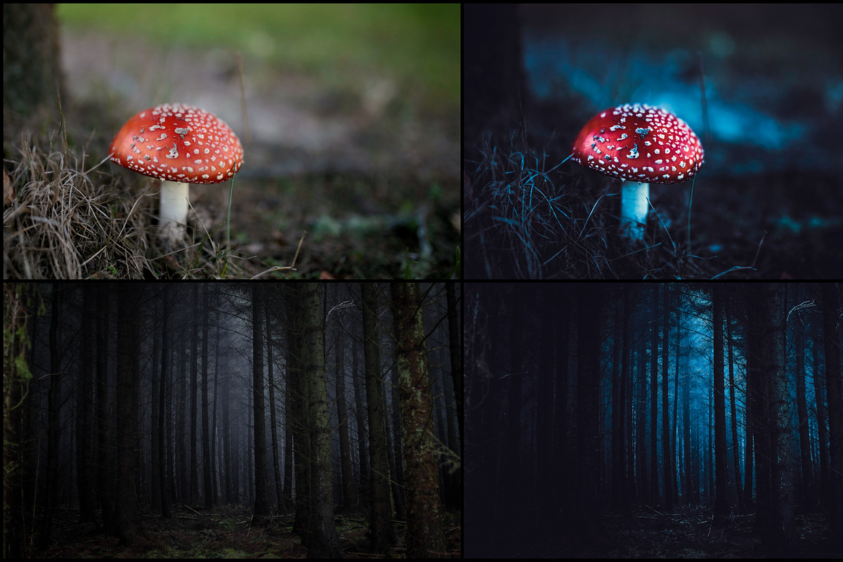7000+ Professional Lightroom Presets, a Layer Style Add-On by Eldamar Studio (Photo 20 of 33)