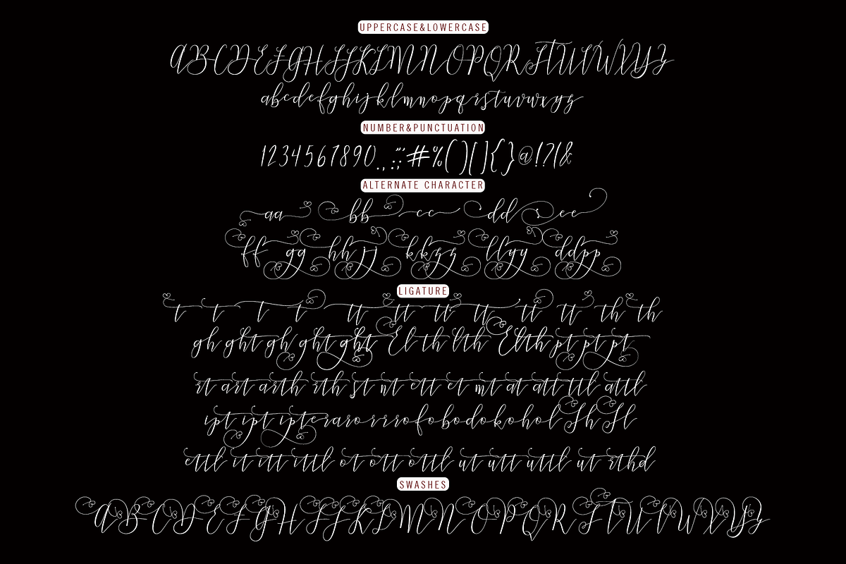 Bettha Bottle, a Script Font by Deniz86 (Photo 14 of 14)