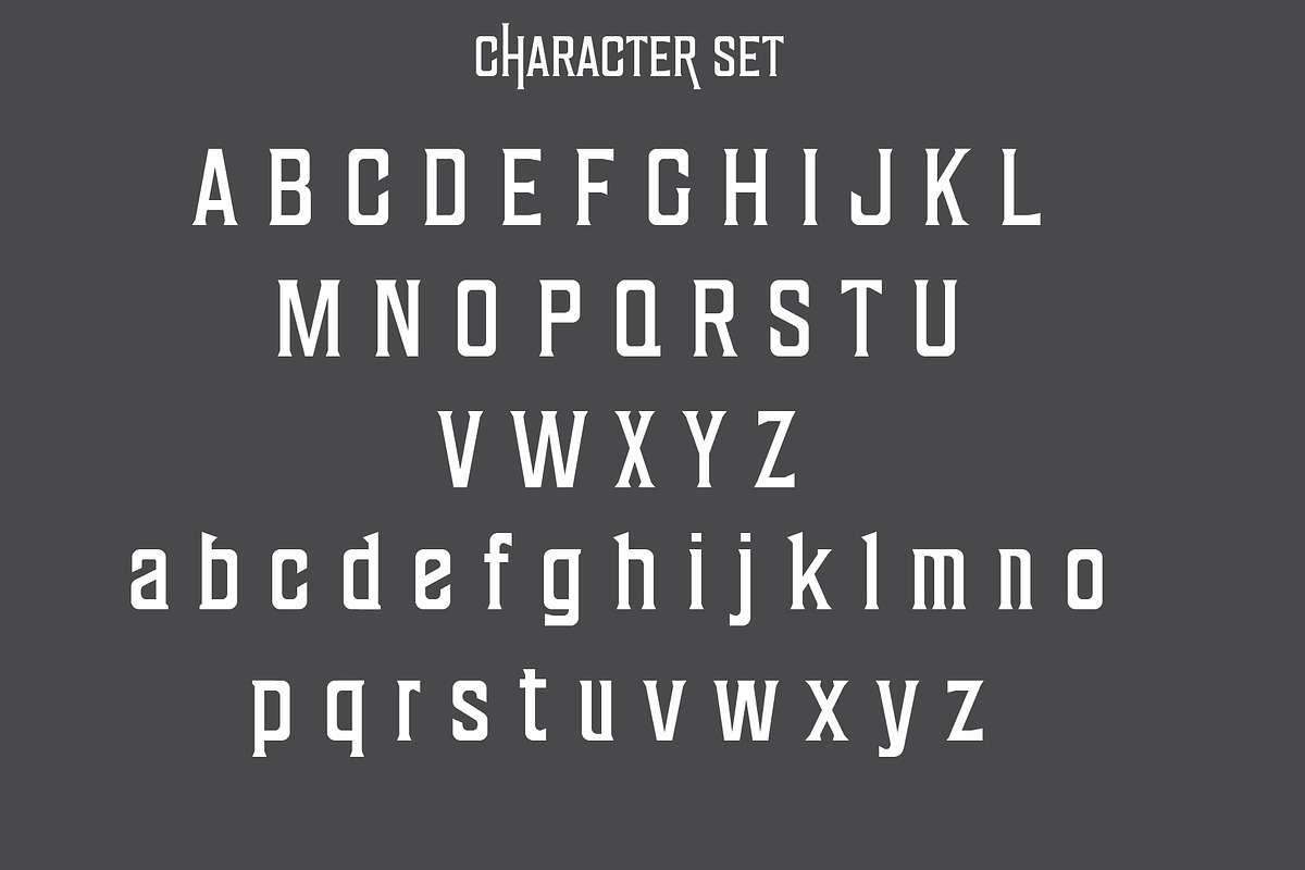 Don Corleon, a Script Font by Teweka (Photo 7 of 9)