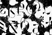Drongo Font, a Serif Font by Yury Veselov (Thumbnail 7 of 12)