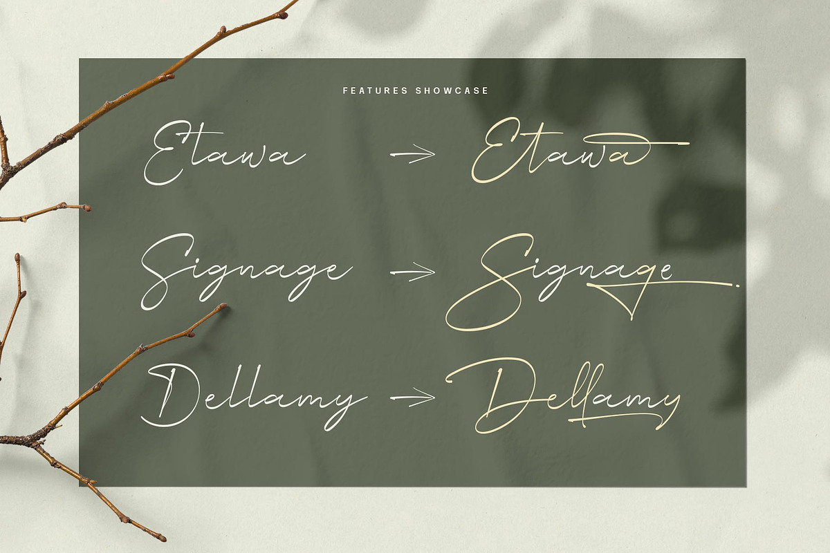 Milyah Signature Script font, a Script Font by alit design (Photo 11 of 15)